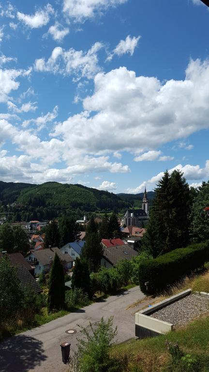 Hochschwarzwald Ferienwohnung Titisee-Neustadt Exteriör bild